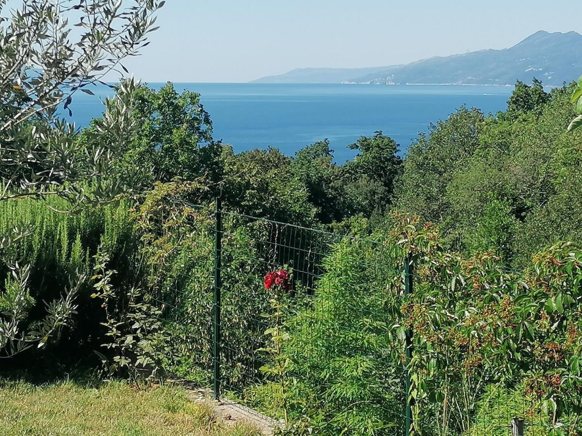 Apartment The View Costabella ริเยกา ภายนอก รูปภาพ